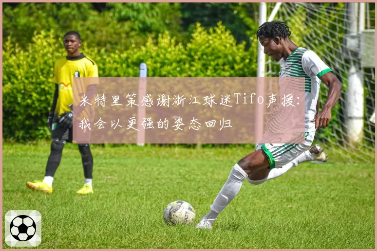 米特里策感谢浙江球迷Tifo声援：我会以更强的姿态回归